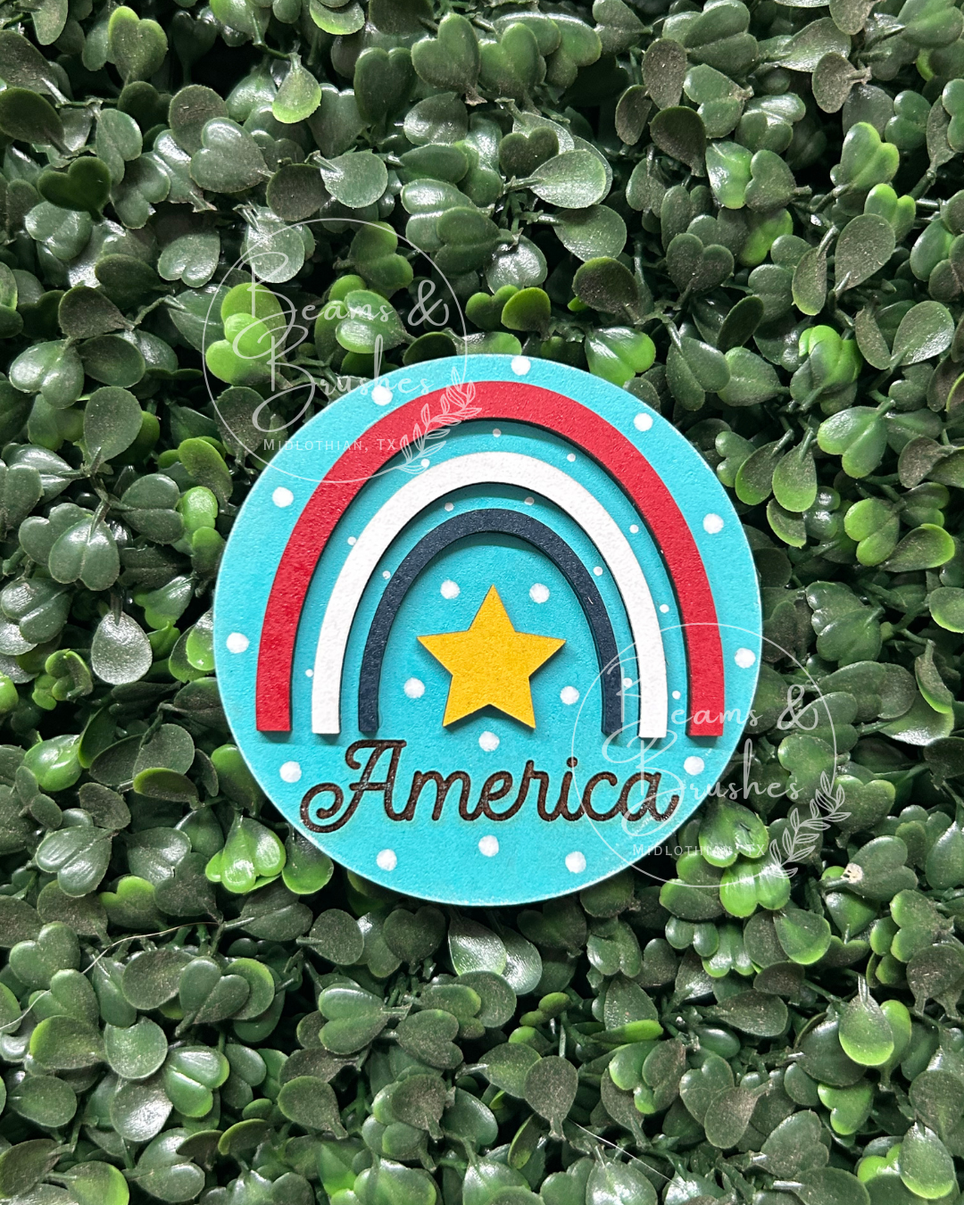 Rainbow_America_3_inch_round_insert